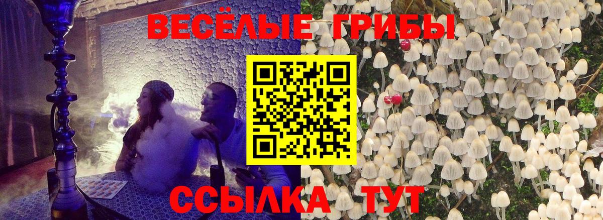 Галлюциногенные грибы GOLDEN TEACHER  Галлюциногенные грибы ЛСД  Гатчина  Вход с VPN 